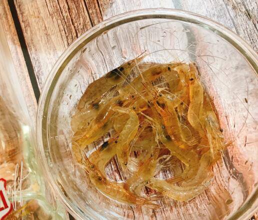 手机游戏带枪开门上墙-手机游戏：带枪、开门、上墙，刺激体验让你欲罢不能